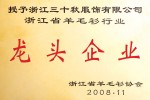 羊毛衫行業龍頭企業